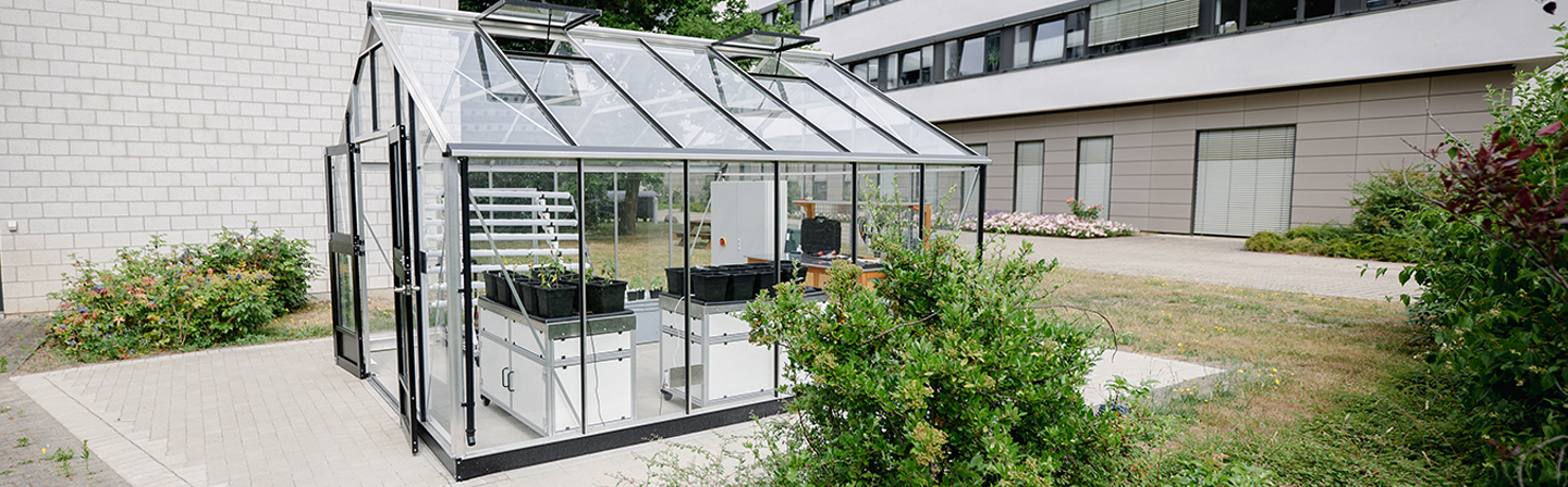 16 Quadratmeter großes Klarglas-Gewächshaus auf dem Campus des Fraunhofer IST.