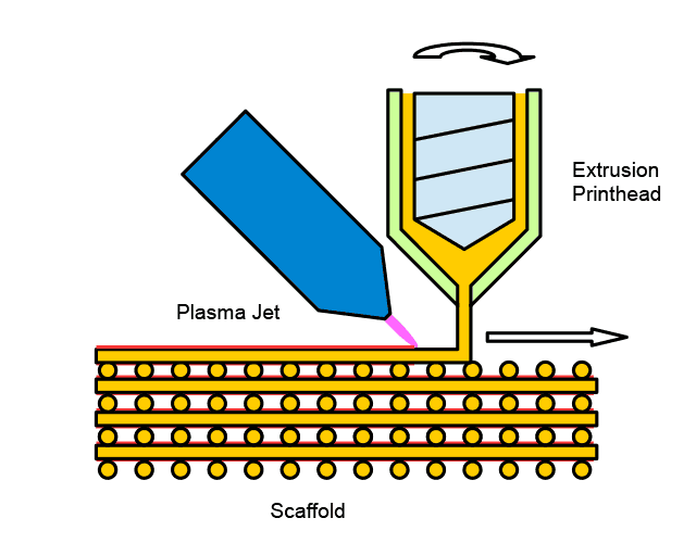 Schema zur Herstellung beschichteter Scaffolds: Unmittelbar nach der Extrusion werden die Gerüststrukturen mit einem kalten Plasma behandelt.