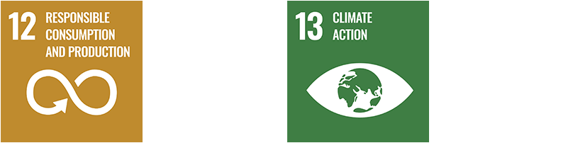 Das 12. und 13. Ziel für nachhaltige Entwicklung der UN