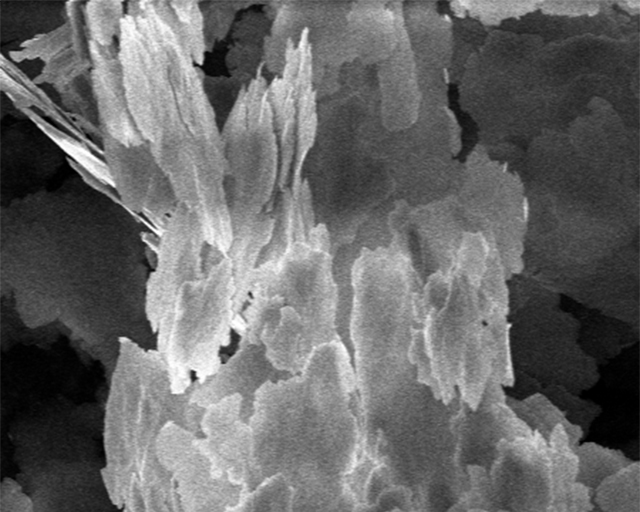 Materialvielfalt in der Plasma-Partikeltechnik: Mikroskopaufnahme von blättchenförmigen Kupferpartikeln.