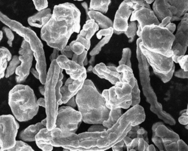 Materialvielfalt in der Plasma-Partikeltechnik: Mikroskopaufnahme von Kupfergrieß