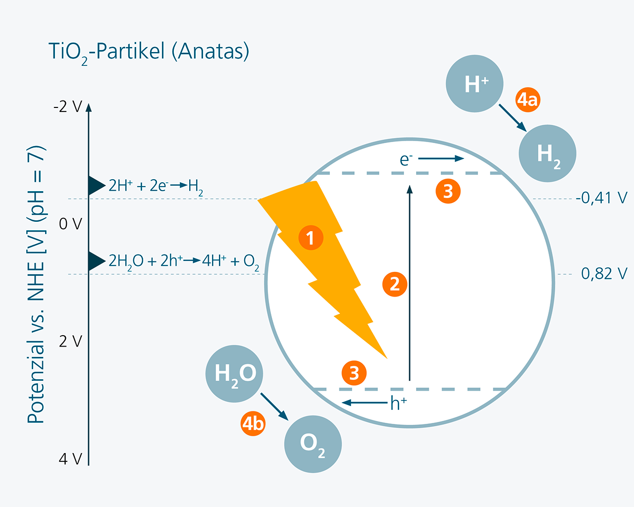 Schematische Darstellung der während der photokatalytischen Wasserspaltung an einem halbleitenden Partikel auftretenden Prozesse (1 – 4).
