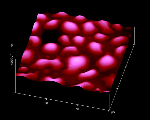 AFM tapping mode image of a polymer surface.