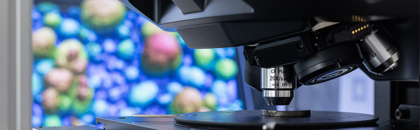 Confocal laser microscope: analysis of battery particles.