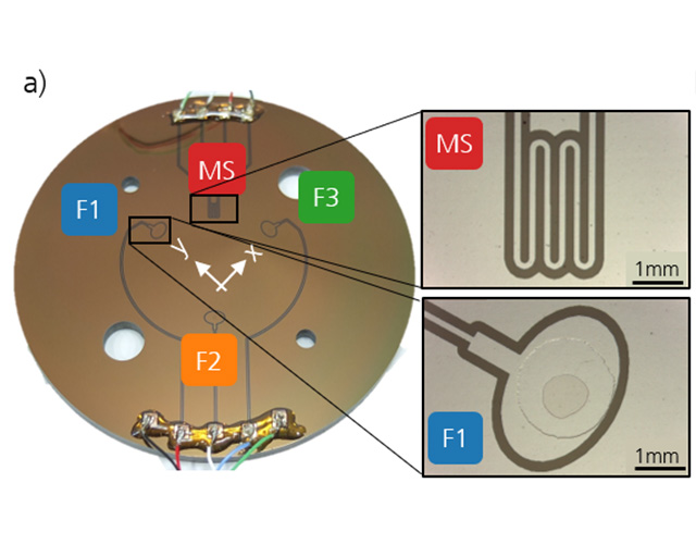 Force measuring disk with three sensor structures for force measurement (F1  -F3) and a temperature meander structure (MS).