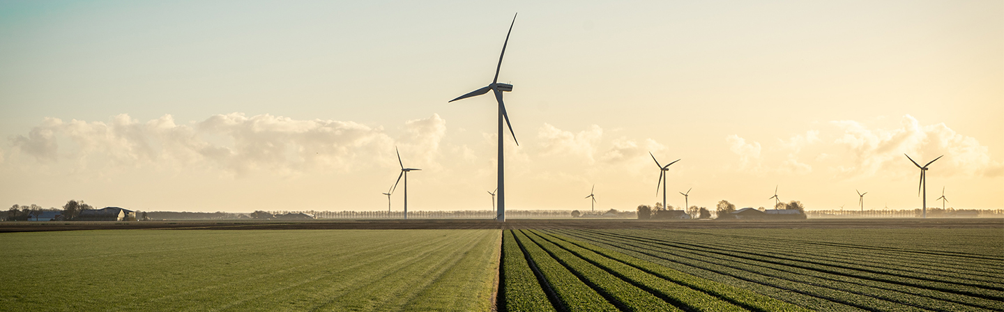 Windräder auf großen Ackerflächen.