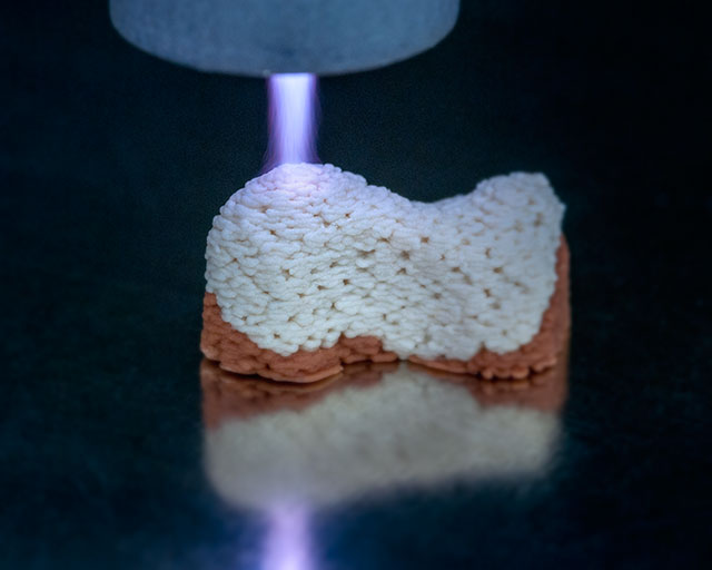 Plasma treatment of 3D printed scaffolds at the Fraunhofer IST.
