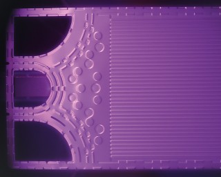 Functionalization of a metallic bipolar plate by means of plasma nitriding.