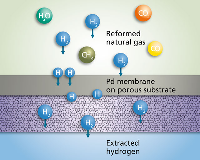 Schematic representation of hydrogen diffusion through the Pd membrane.